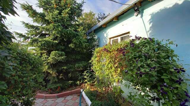 Гостевой дом У Фаины Николаевка-44